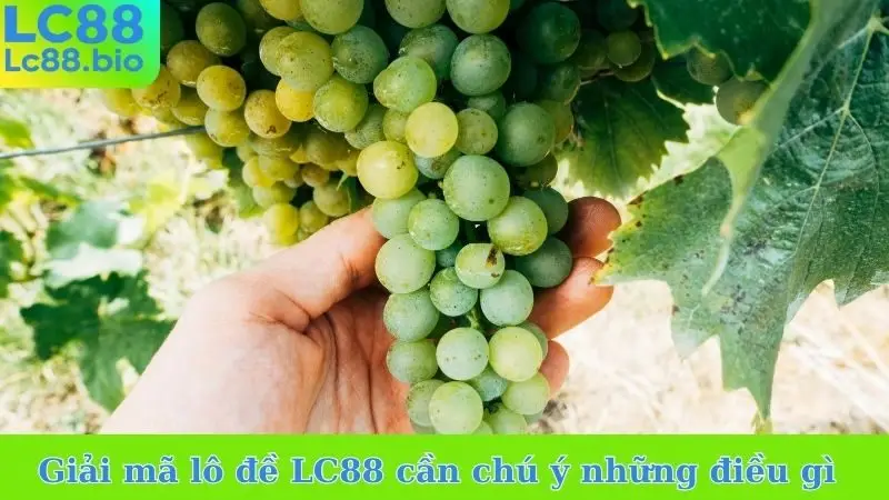 Giải mã lô đề LC88 cần chú ý những điều gì