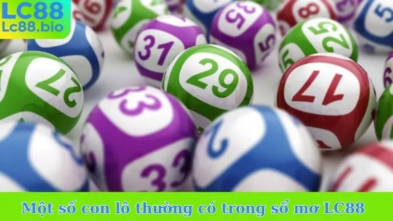 Một số con lô thường có trong sổ mơ LC88
